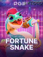 Fortune Snake game cover